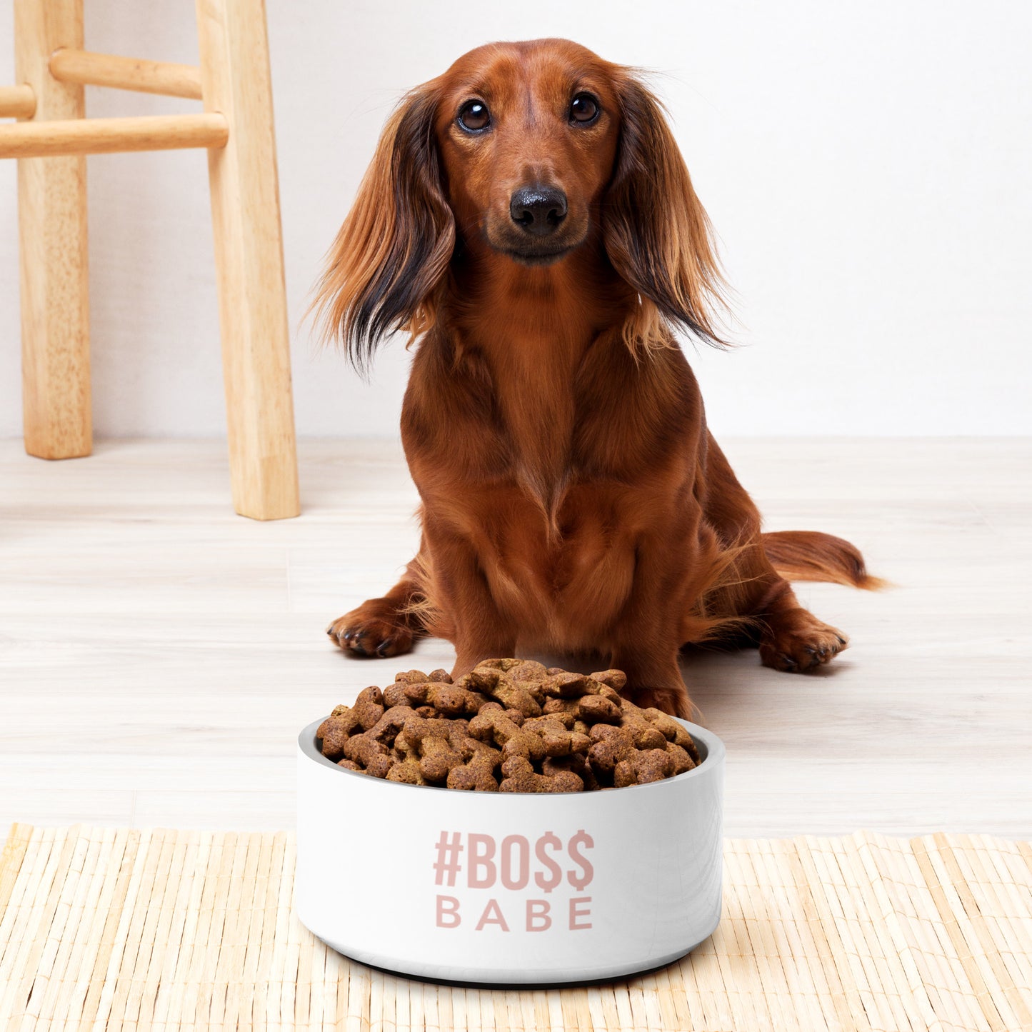 BO$$ BABE Pet Bowl